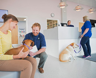 sala d'attesa di toelettatura con clienti e cani
